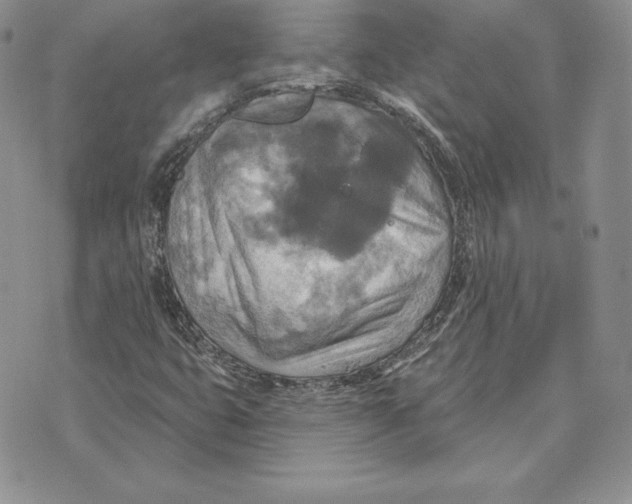 X0000070361399200606301819