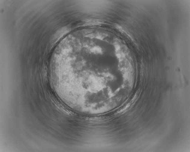 X0000070361401200606301819