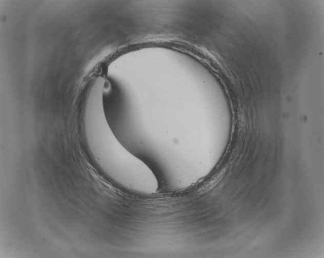 X0000070361406200606301819