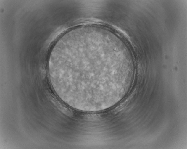 X0000070361407200606301819