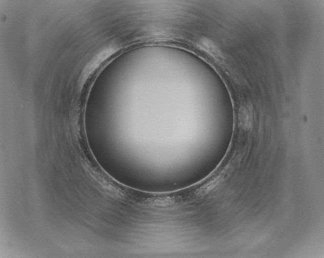 X0000070361410200606301819