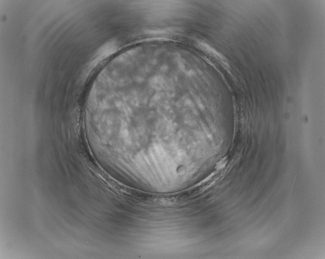 X0000070361411200606301819