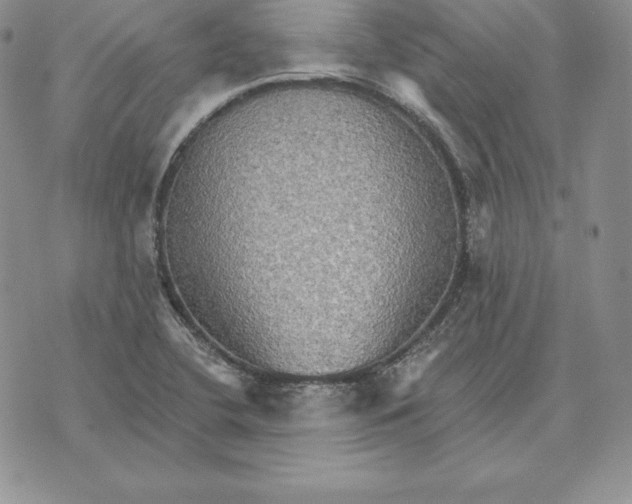 X0000070361412200606301819