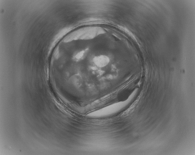 X0000070361413200606301819