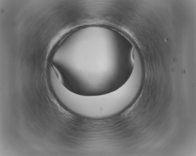 X0000070361414200606301819