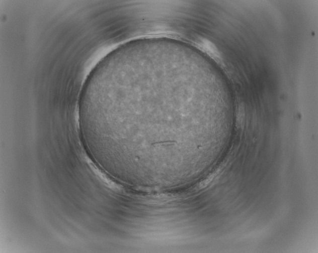 X0000070361420200606301819