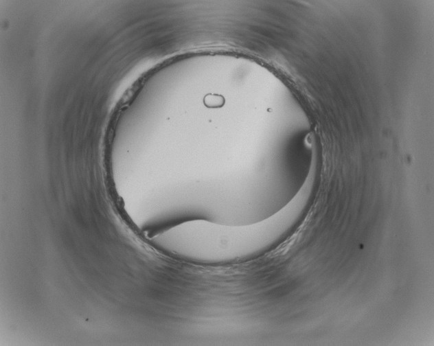 X0000070361422200606301819