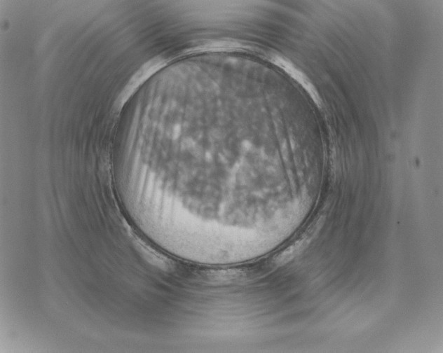 X0000070361425200606301819