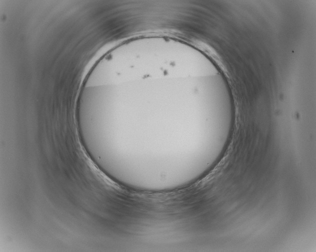 X0000070361428200606301819