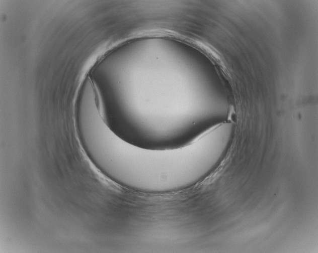 X0000070361430200606301819