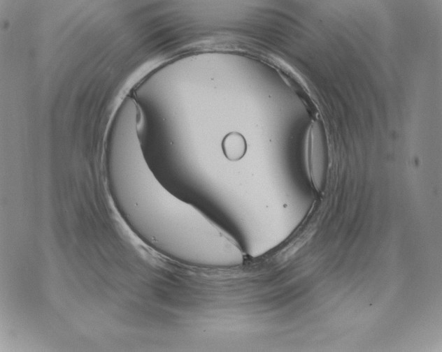 X0000070361434200606301819