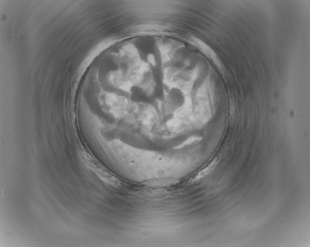 X0000070361435200606301820