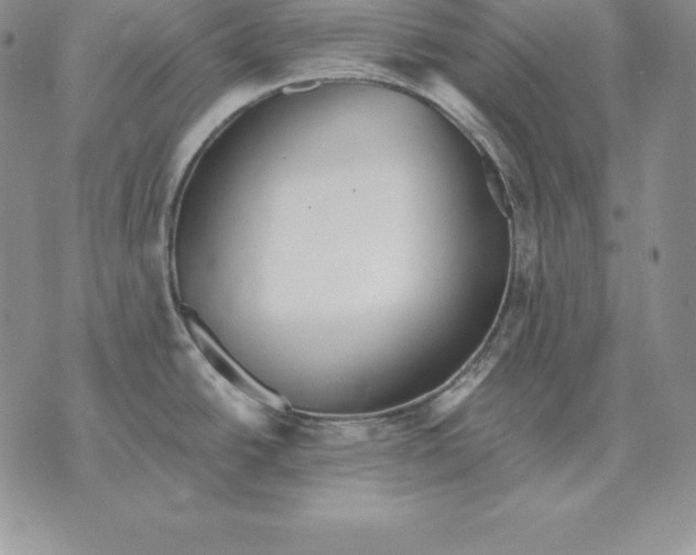 X0000070361438200606301820