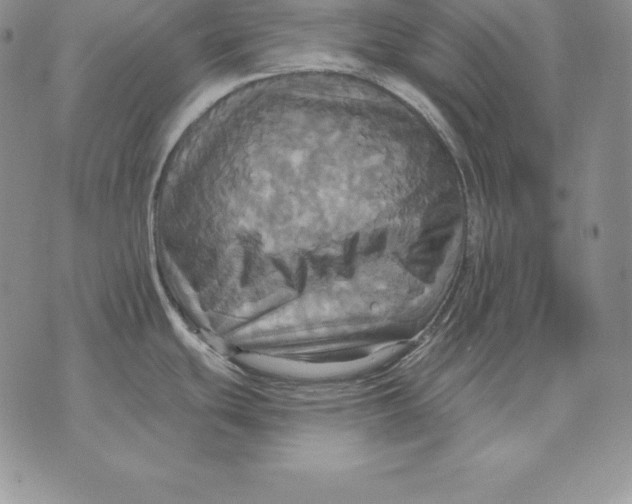 X0000070361439200606301820