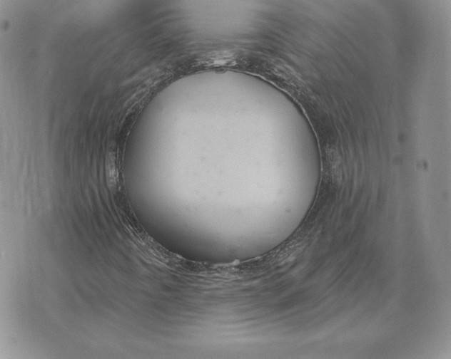 X0000070361442200606301819