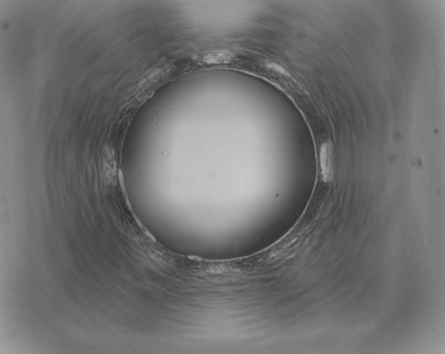 X0000070361443200606301819