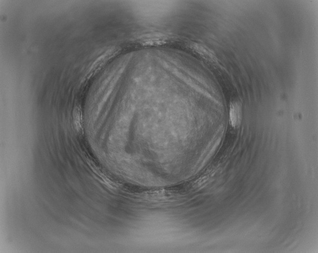 X0000070361444200606301819