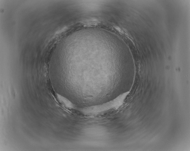 X0000070361445200606301819