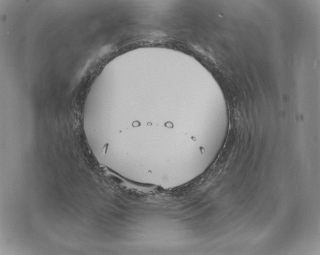 X0000070361447200606301819