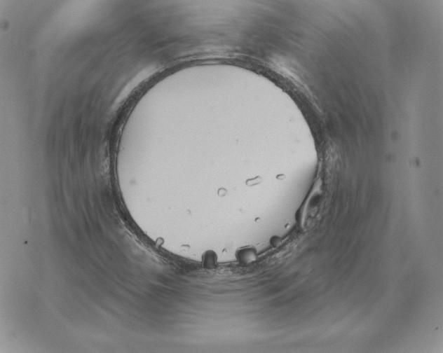 X0000070361450200606301819