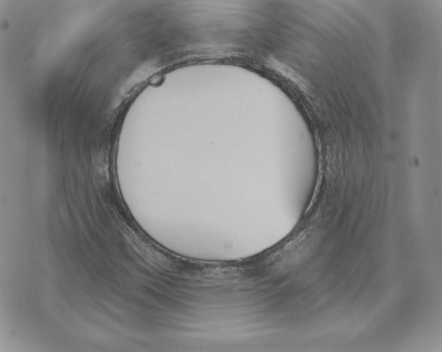 X0000070361451200606301819