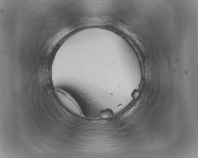 X0000070361453200606301819