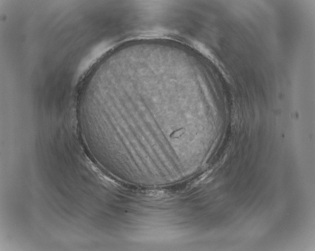 X0000070361456200606301819