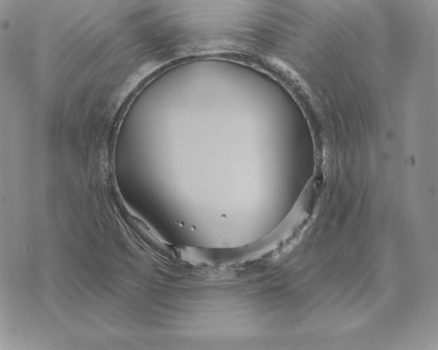 X0000070361457200606301819