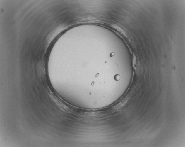 X0000070361458200606301819