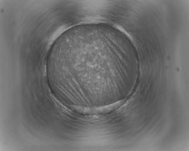 X0000070361459200606301819