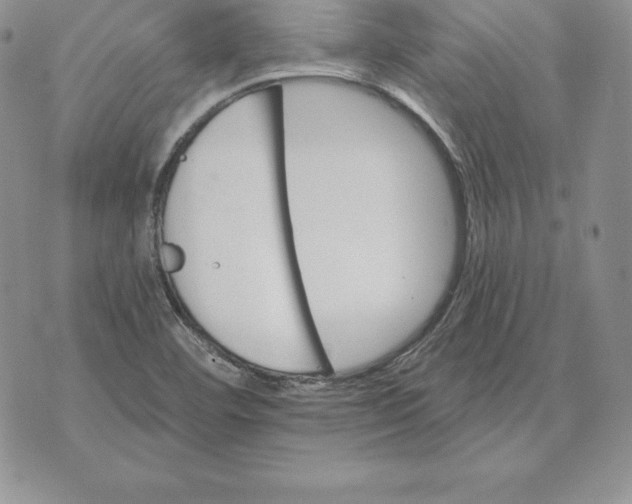 X0000070361460200606301819