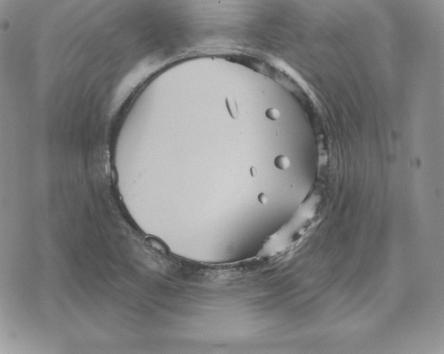 X0000070361461200606301818