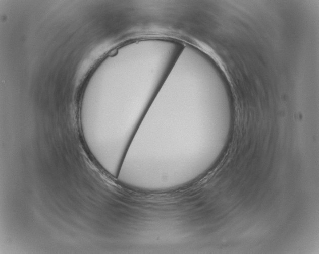 X0000070361464200606301818