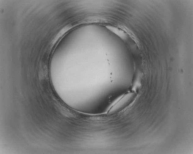 X0000070361465200606301818