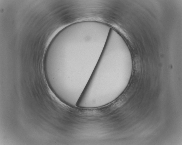 X0000070361468200606301818