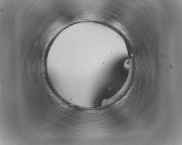 X0000070361469200606301818