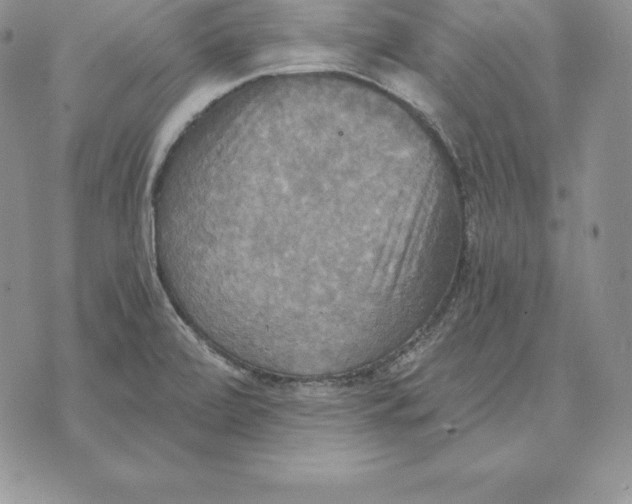 X0000070361472200606301818