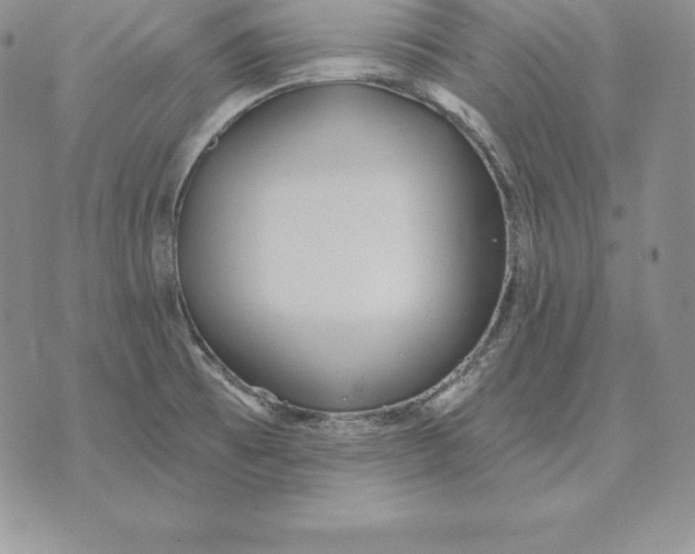 X0000070361473200606301818