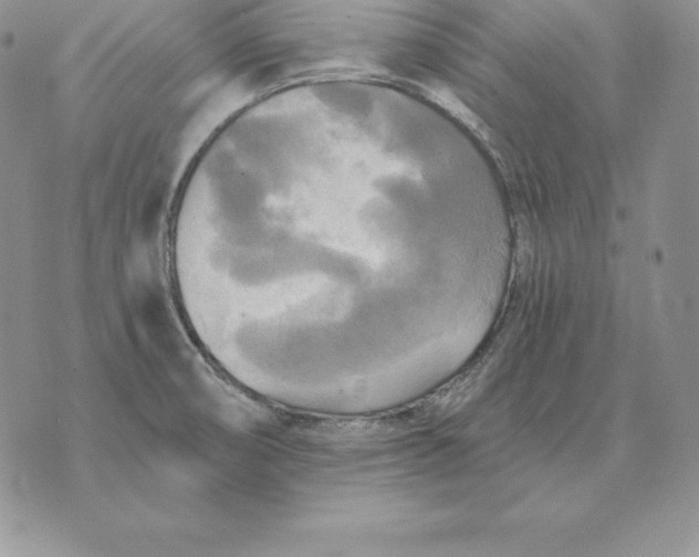 X0000070361474200606301818