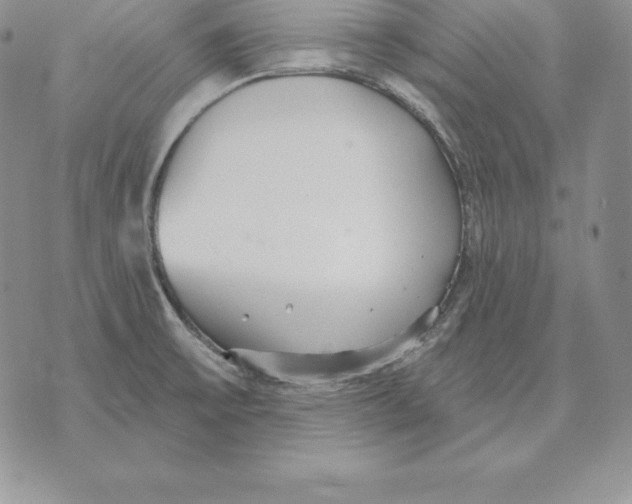 X0000070361475200606301818