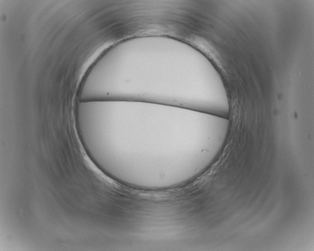 X0000070361476200606301818