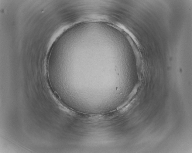 X0000070361477200606301818