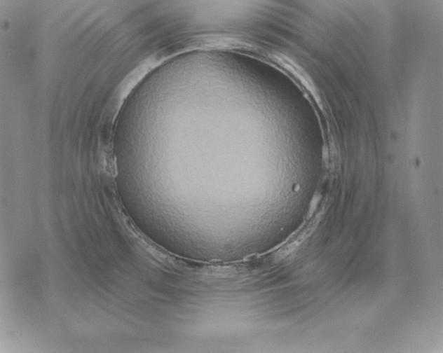 X0000070361481200606301818