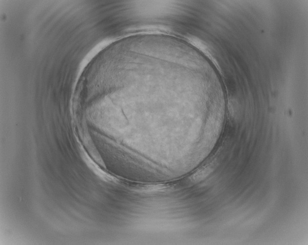 X0000070361482200606301818