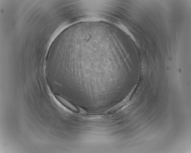 X0000070361484200606301818