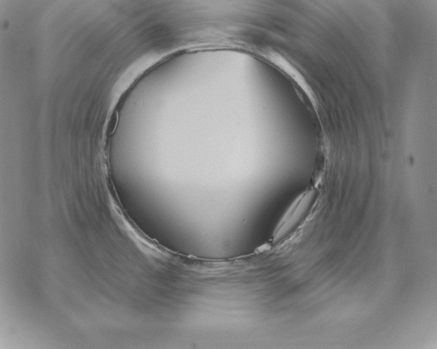 X0000070361485200606301818