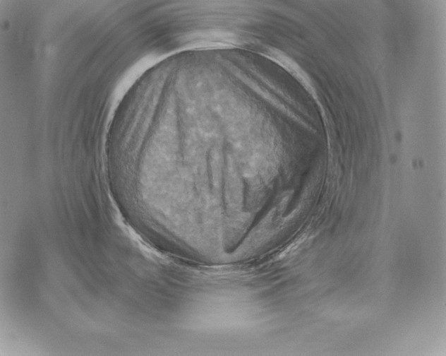 X0000070361488200606301818