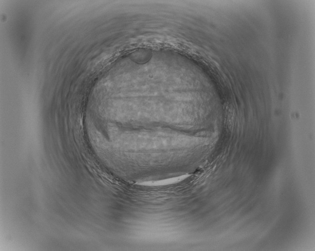 X0000070361489200606301817