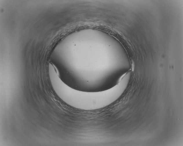 X0000070361492200606301817