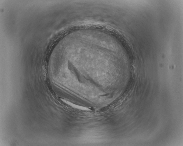 X0000070361493200606301817